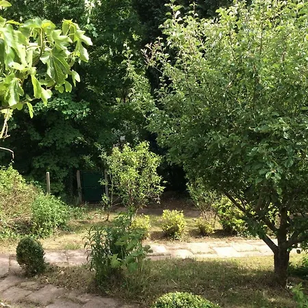 別荘 12 Impasse Damilaville *